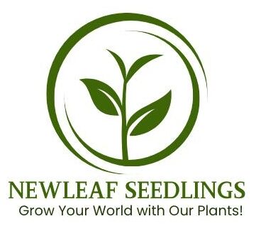 Newleaf seedlings